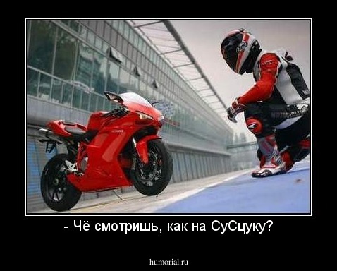 - Чё смотришь, как на СуСцуку?