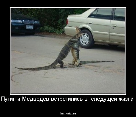 Путин и Медведев встретились в  следущей жизни.