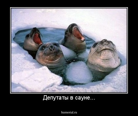 Депутаты в сауне...