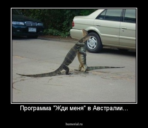 Программа "Жди меня" в Австралии...