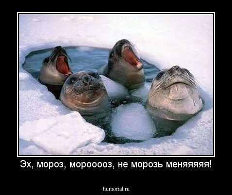 Эх, мороз, морооооз, не морозь меняяяяя!