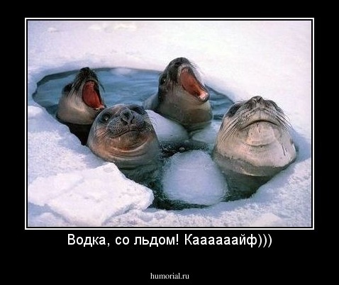Водка, со льдом! Каааааайф)))