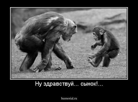 Ну здравствуй... сынок!...