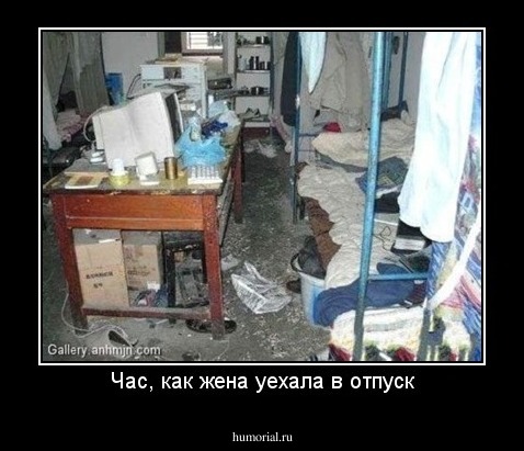 Час, как жена уехала в отпуск