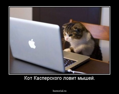 Кот Касперского ловит мышей.