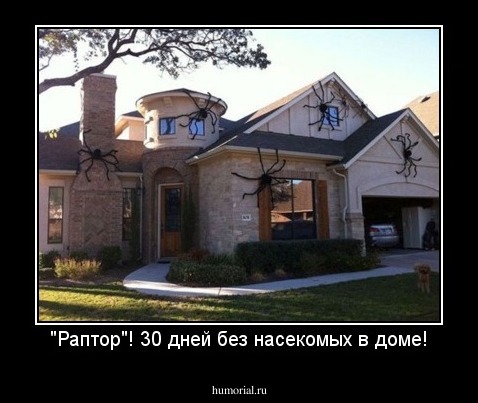 "Раптор"! 30 дней без насекомых в доме!
