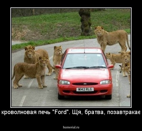 Микроволновая печь "Ford". Щя, братва, позавтракаем!"