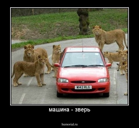 машина - зверь