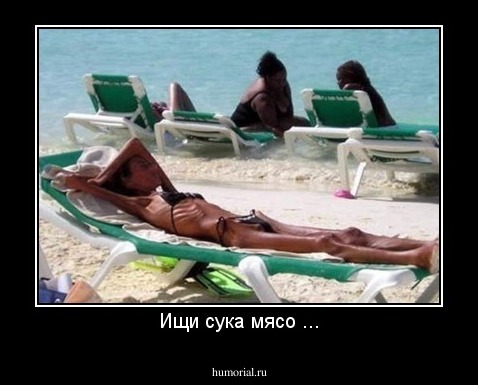 Ищи сука мясо ...