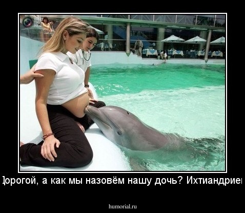 - Дорогой, а как мы назовём нашу малышку? Ихтиандрой? 
