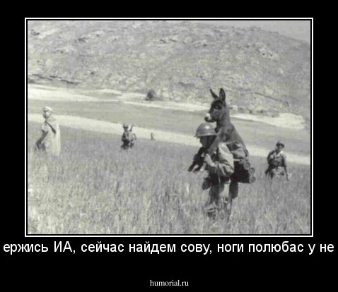 Держись ИА, сейчас найдем сову, ноги полюбас у нее.