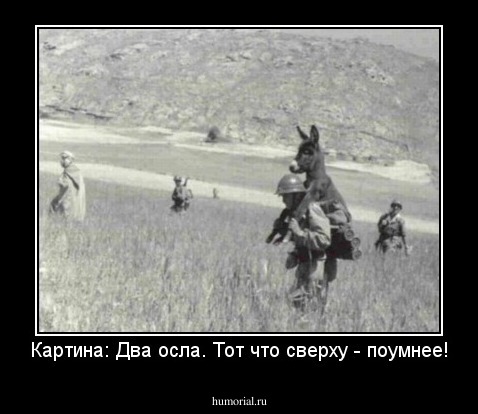 Картина: Два осла. Тот что сверху - поумнее!