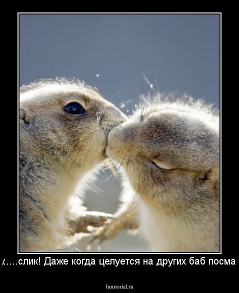 Вот сууу.....слик! Даже когда целуется на других баб посматривает!