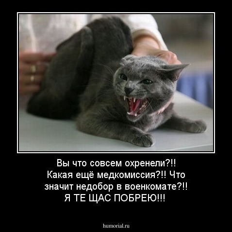 Вы что совсем охренели?!! Какая ещё медкомиссия?!! Что значит недобор в военкомате?!! Я ТЕ ЩАС ПОБРЕЮ!!!