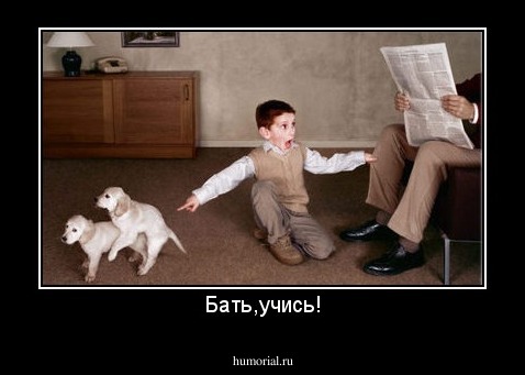 Бать,учись!