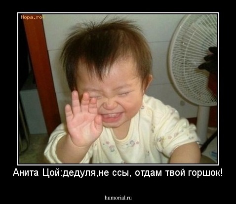 Анита Цой:дедуля,не ссы, отдам твой горшок!