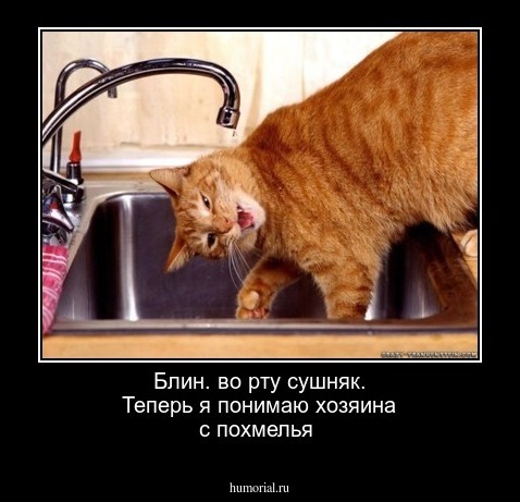 Блин. во рту сушняк. Теперь я понимаю хозяина с похмелья