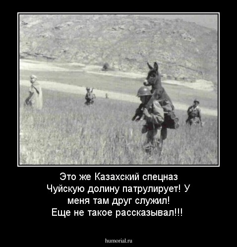 Это же Казахский спецназ Чуйскую долину патрулирует! У меня там друг служил! Еще не такое рассказывал!!!