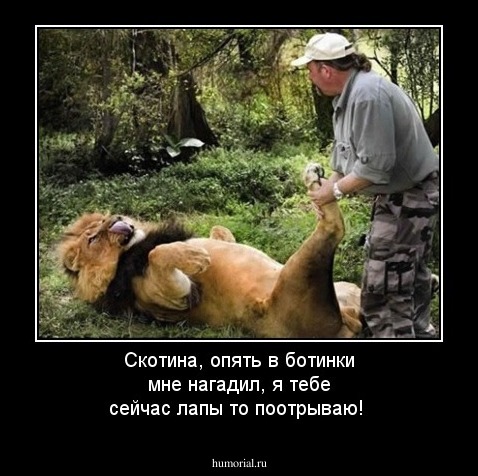 Скотина, опять в ботинки мне нагадил, я тебе сейчас лапы то поотрываю!
