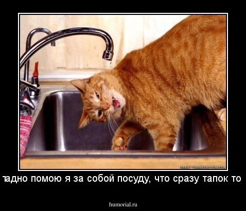 Ладно - ладно помою я за собой посуду, что сразу тапок то снимать!