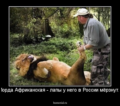Морда Африканская - лапы у него в России мёрзнут...