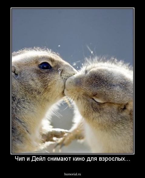 Чип и Дейл снимают кино для взрослых...