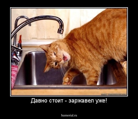 Давно стоит - заржавел уже!