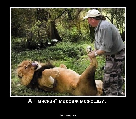 А "тайский" массаж можешь?..