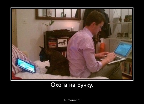 Охота на сучку.