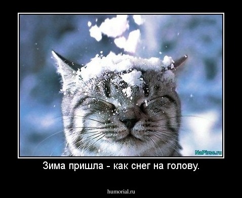 Зима пришла - как снег на голову.