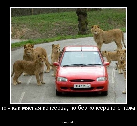 Это - как мясная консерва, но без консервного ножа...