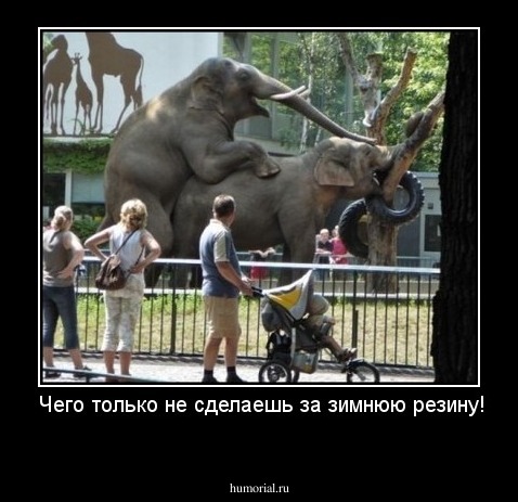  Чего только не сделаешь за зимнюю резину!
