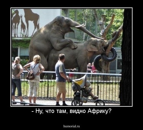 - Ну, что там, видно Африку?