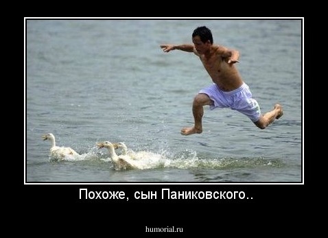  Похоже, сын Паниковского..
