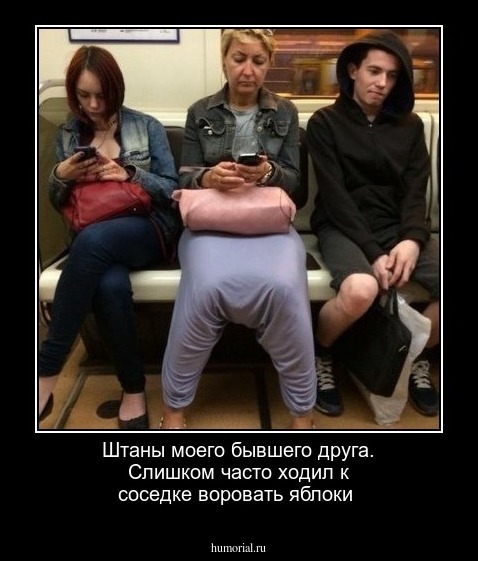 Штаны моего бывшего друга. Слишком часто ходил к соседке воровать яблоки