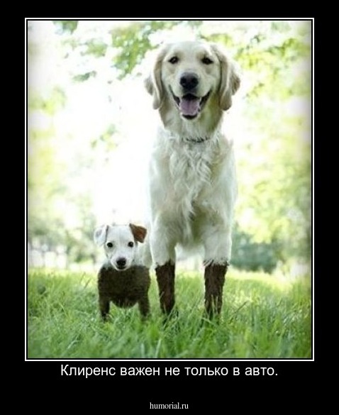 Клиренс важен не только в авто.