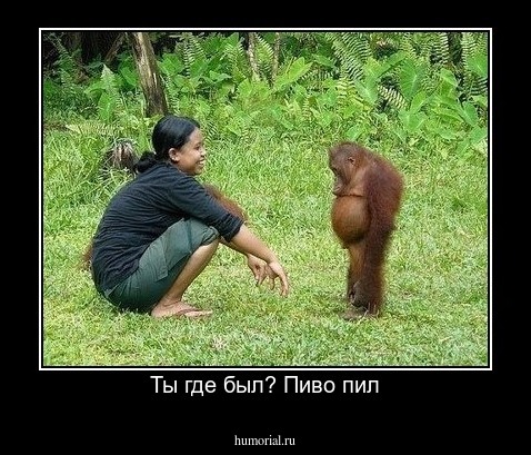 Ты где был? Пиво пил