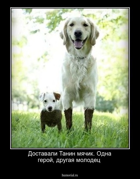 Доставали Танин мячик. Одна  герой, другая  молодец