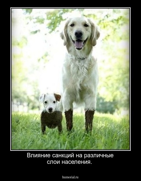 Влияние санкций на различные слои населения.