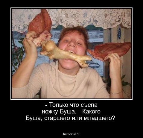 - Только что съела ножку Буша.
- Какого Буша, старшего или младшего?