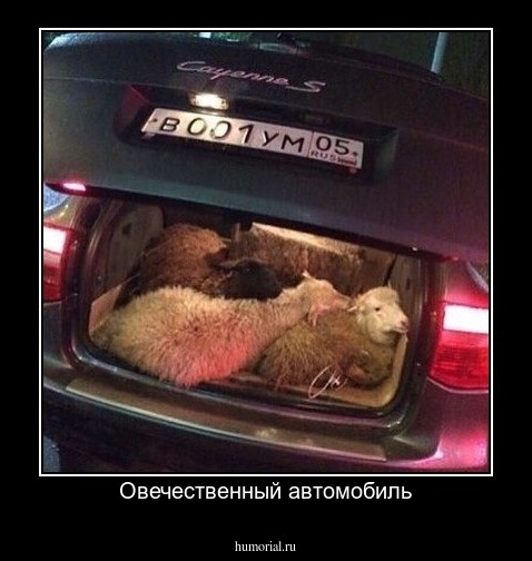 Овечественный автомобиль