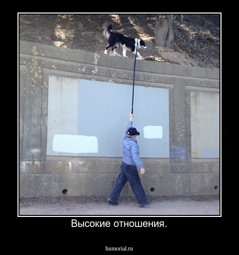 Высокие отношения.
