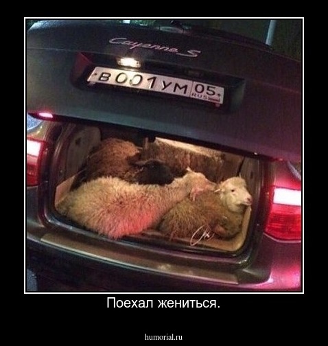 Поехал жениться.