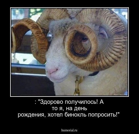 : "Здорово получилось! А то я, на день рождения, хотел бинокль попросить!"