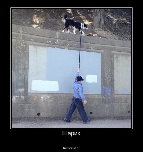 Шарик