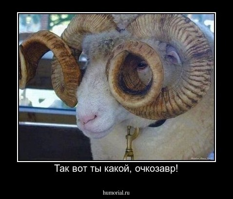 Так вот ты какой, очкозавр!