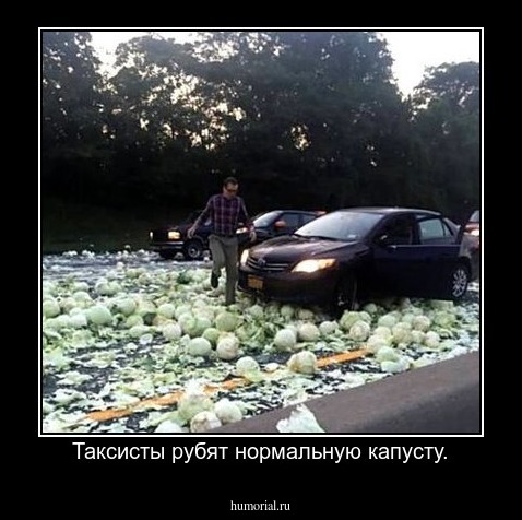 Таксисты рубят нормальную капусту.