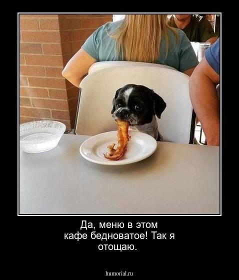 Да, меню в этом кафе бедноватое! Так я отощаю.