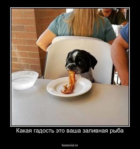Какая гадость это ваша заливная рыба