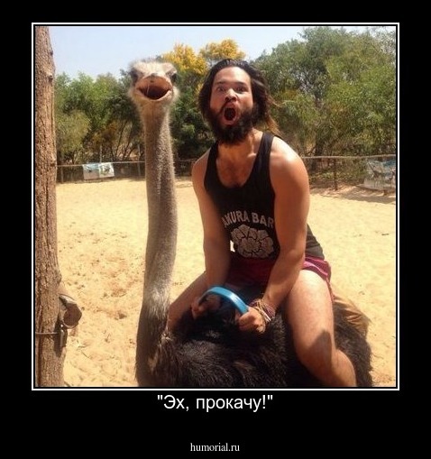 "Эх, прокачу!"